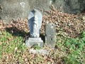 DSCF0005_thumb.png