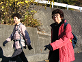 IMG_0934_thumb.png