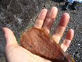 IMG_2141_thumb.png