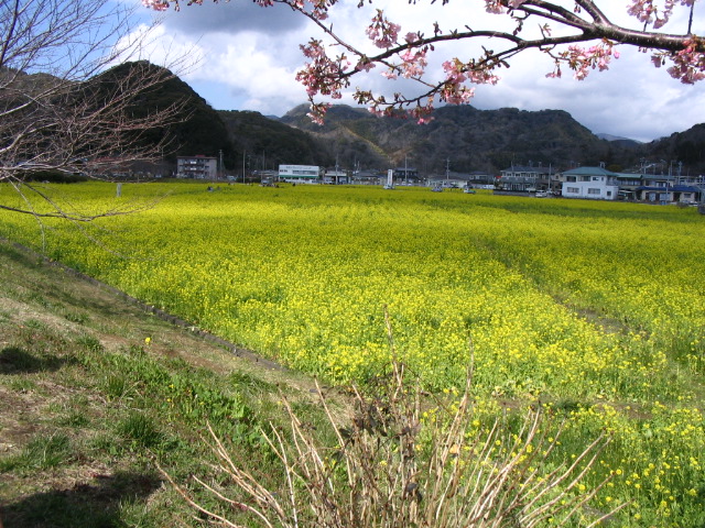 IMG_3680.JPG