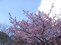IMG_3716_thumb.png