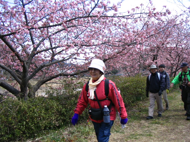 IMG_3737.JPG