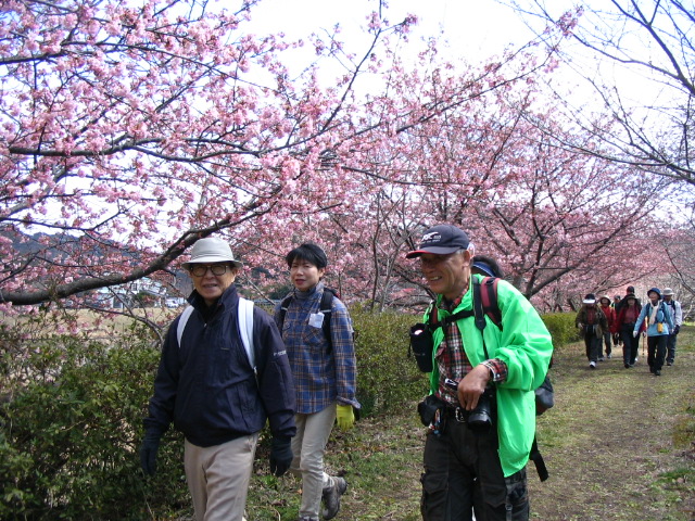 IMG_3738.JPG