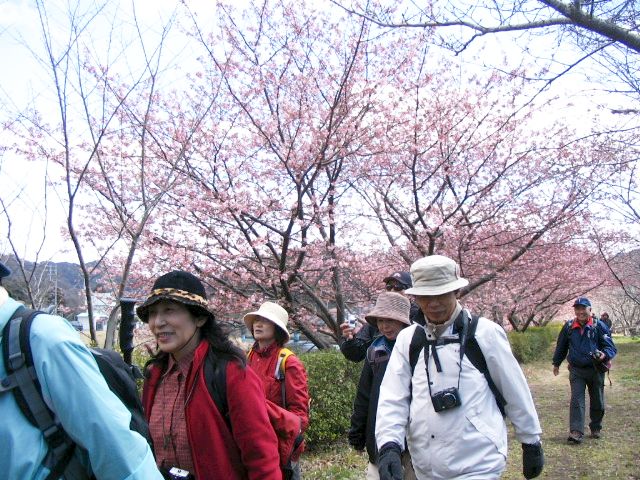IMG_3741.JPG