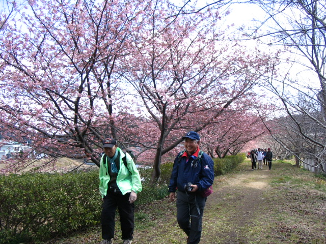 IMG_3742.JPG