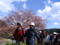 IMG_3835_thumb.png