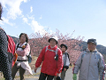 IMG_3862_thumb.png