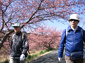 IMG_3910_thumb.png