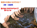 IMG_3937_thumb.png