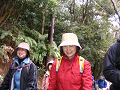 IMG_3398_thumb.png