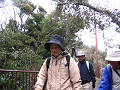 IMG_3443_thumb.png