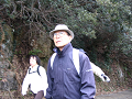 IMG_3448_thumb.png