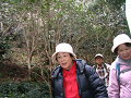 IMG_3484_thumb.png