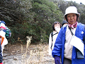 IMG_3490_thumb.png