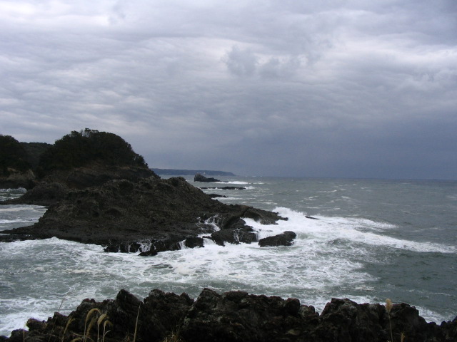 IMG_3499.JPG