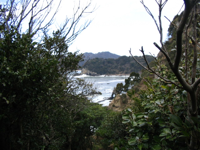 IMG_3530.JPG