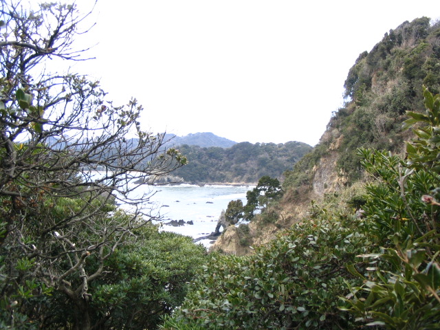 IMG_3531.JPG