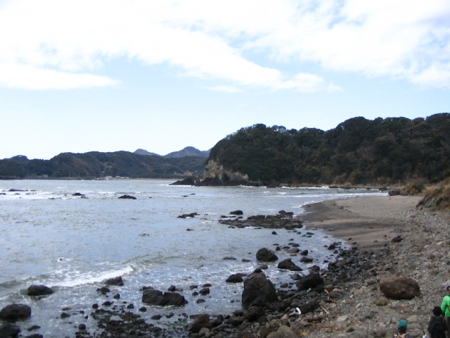 IMG_3533.JPG