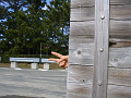 IMG_3617_thumb.png