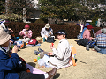 IMG_3178_thumb.png