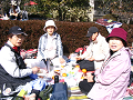 IMG_3180_thumb.png