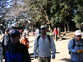 IMG_2976_thumb.png