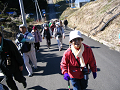 IMG_3010_thumb.png