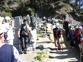 IMG_3018_thumb.png