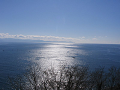 IMG_3030_thumb.png