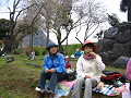 IMG_6918_thumb.png
