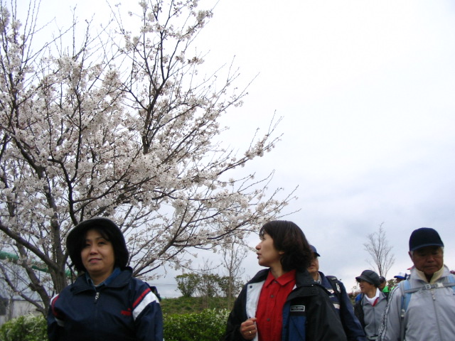 IMG_6989.JPG