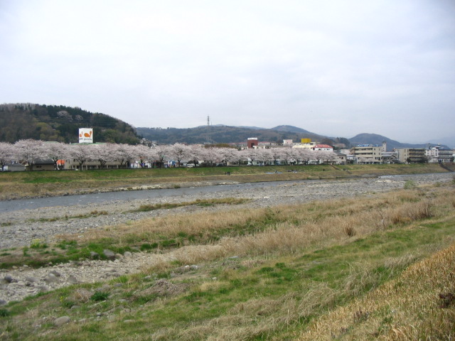 IMG_7009.JPG