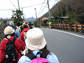 IMG_7015_thumb.png
