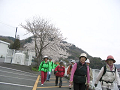 IMG_7033_thumb.png