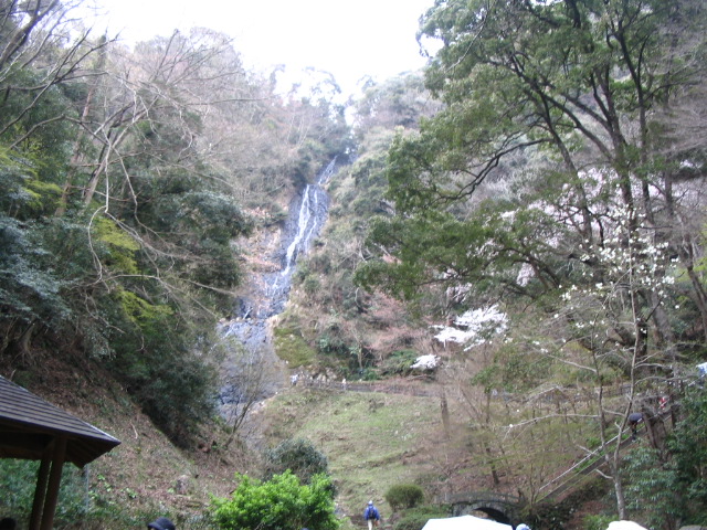 IMG_7047.JPG