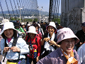 IMG_8713_thumb.png
