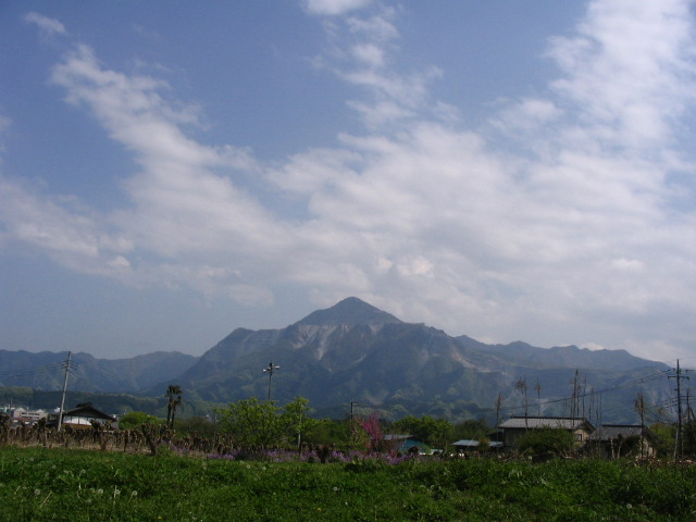 IMG_8794.JPG