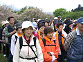 IMG_8468_thumb.png