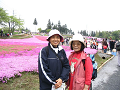 IMG_8502_thumb.png