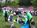 IMG_8538_thumb.png