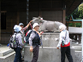 IMG_0071_thumb.png