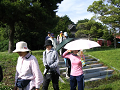 IMG_0203_thumb.png