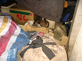 IMG_1668_thumb.png