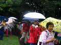 IMG_1694_thumb.png