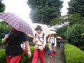IMG_1741_thumb.png