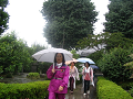 IMG_1746_thumb.png