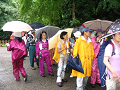 IMG_1874_thumb.png