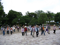IMG_1228_thumb.png