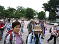 IMG_1230_thumb.png