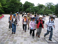 IMG_1231_thumb.png